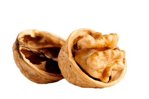 cerneaux noix